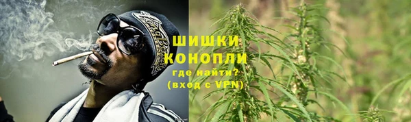 сатива Переславль-Залесский