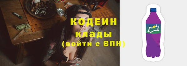 индика Среднеколымск