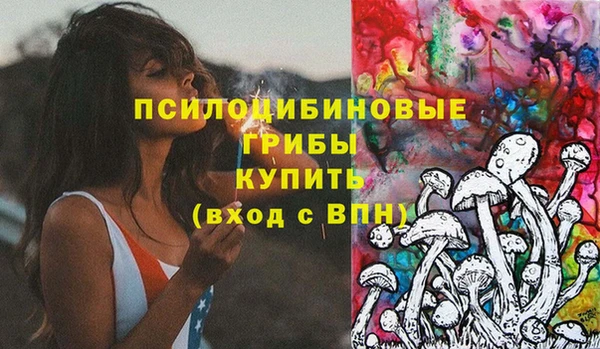 сатива Переславль-Залесский