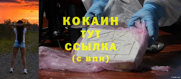 герыч Пересвет